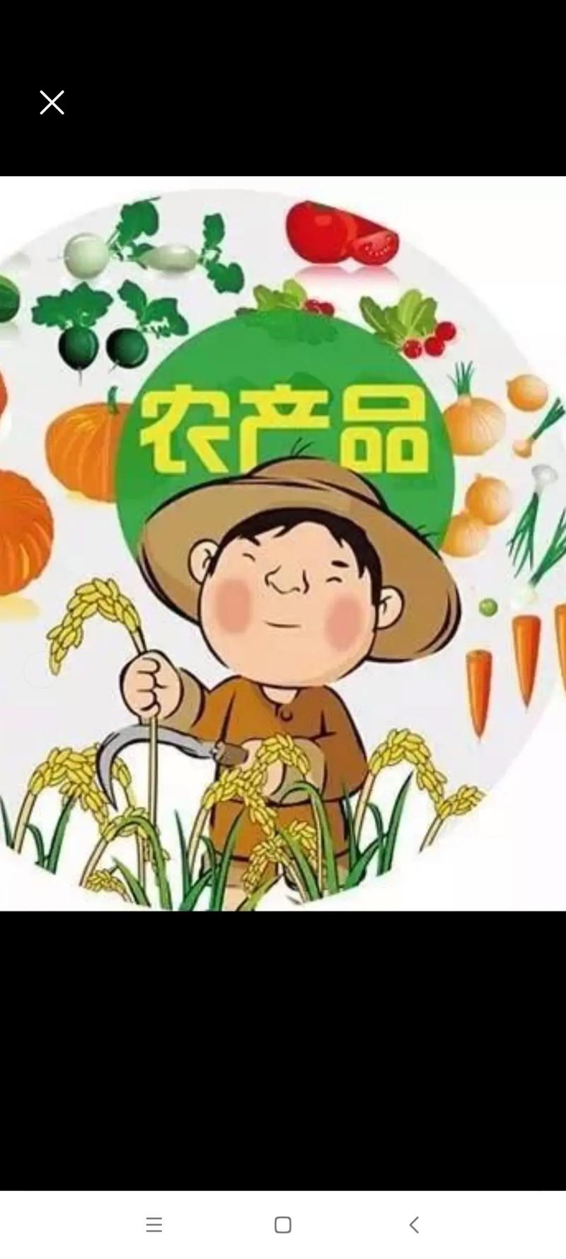 农产品与农副产品到底有什么区别？搞懂这两点，买卖不迷糊
