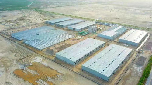 中冶保障 建好菜篮子 守护大民生农副产品
